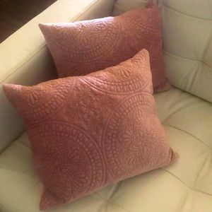 Elegant pink set of 2 velvet pillows